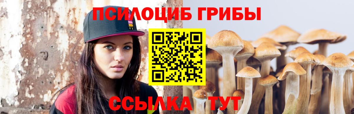 Галлюциногенные грибы Psilocybine cubensis Нурлат