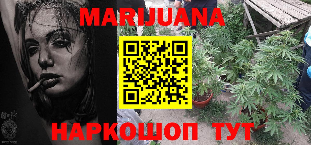 Конопля семена  Вход с VPN  Нурлат  МАРИХУАНА ГИДРОПОН  Канабис Bruce Banner 